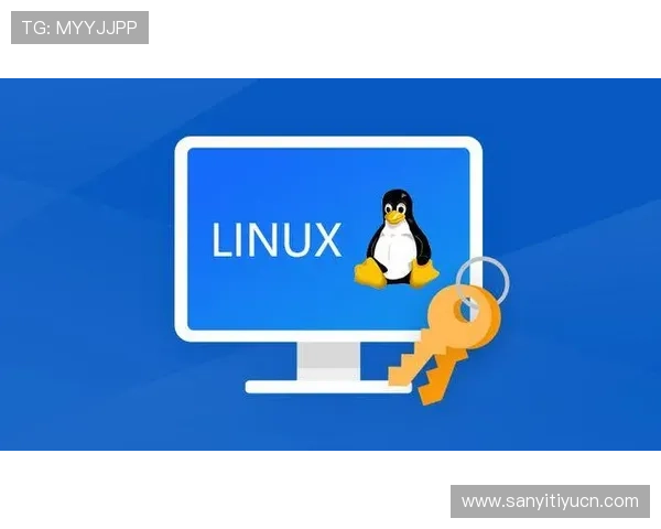 安全便捷的333体育备用网址入口，支持多种支付方式满足不同用户需求